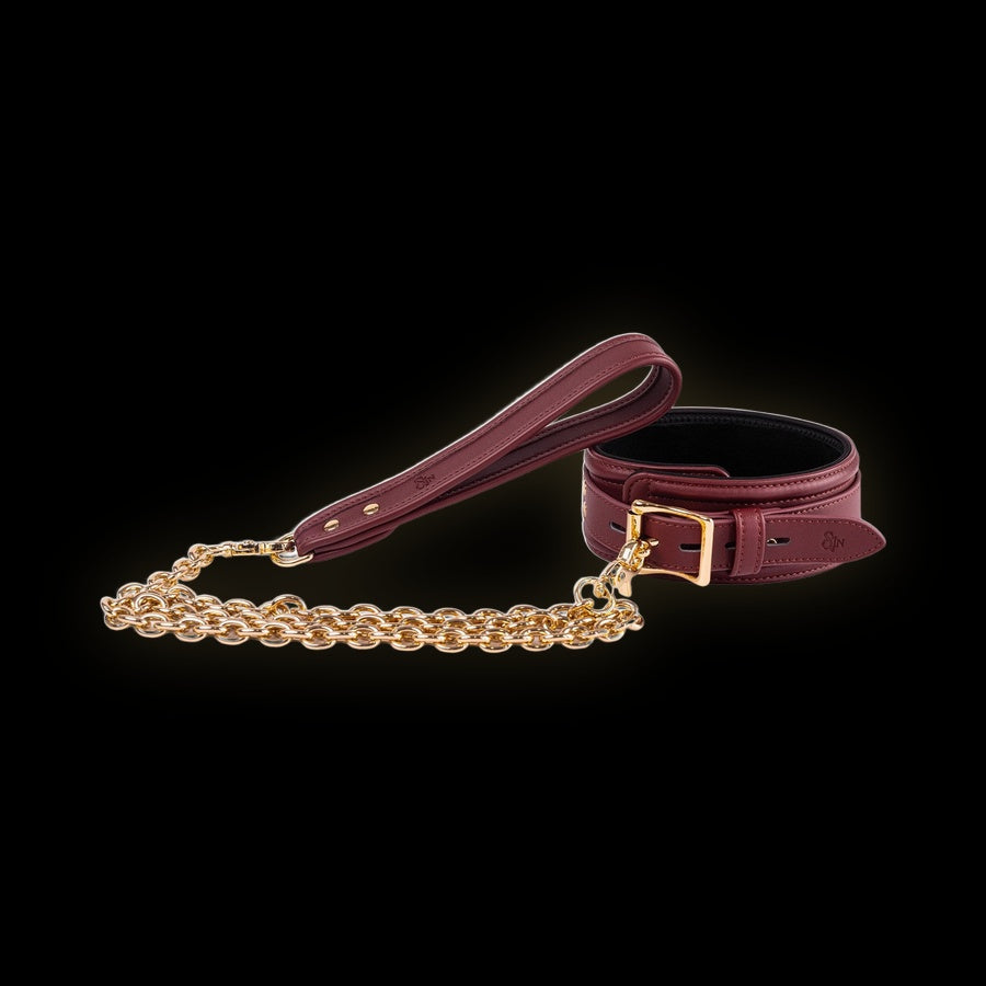 Collar & Chain Leash